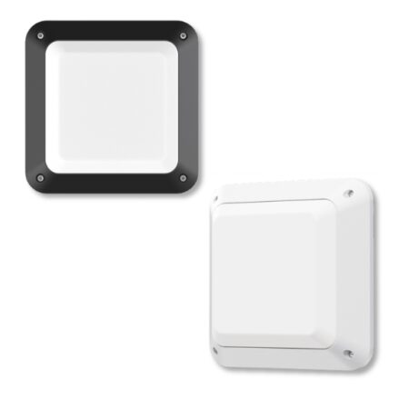 Bulkhead LED Square Bunker 4CCT